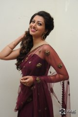 Hamsa Nandini at Bengal Tiger Movie Audio Launch